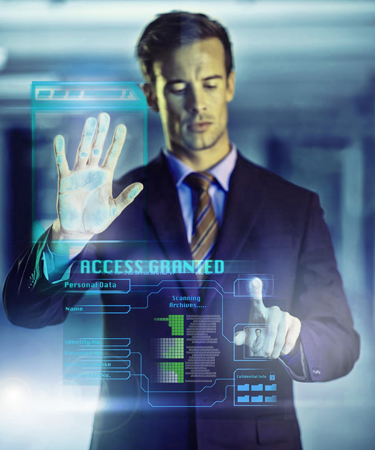 Virtual Chief Information Security Officer (vCISO