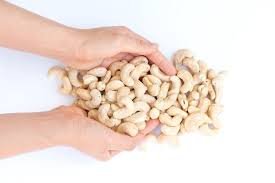 India Cashew Market