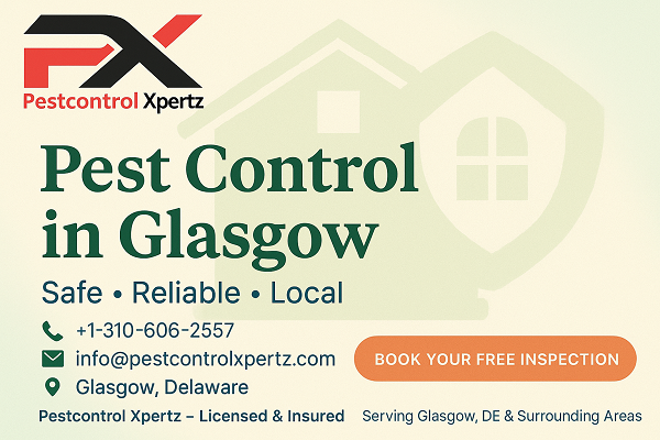 Pest Control in Glasgow: A Complete Guide for Homeowners and Businesses
