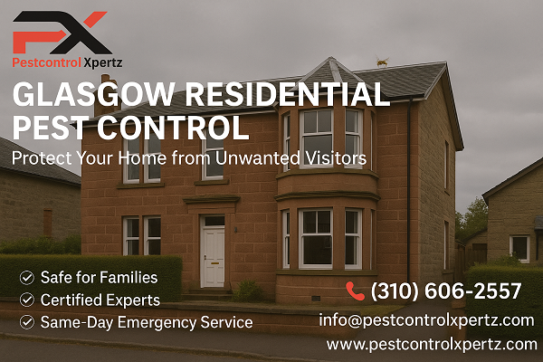 Residential pest control in Glasgow
