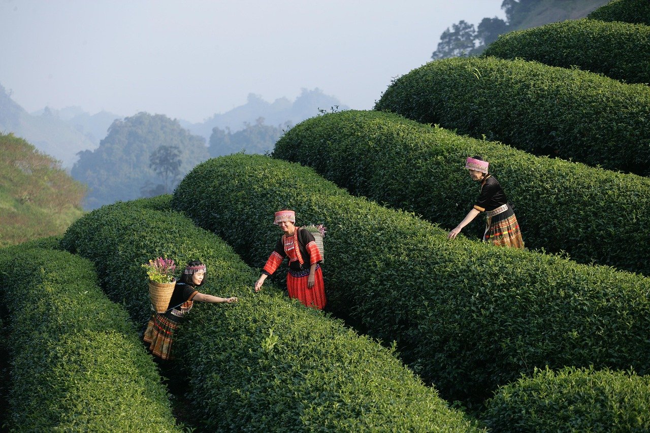 india tour packages