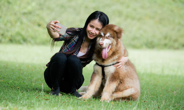 What dog breed is right for me