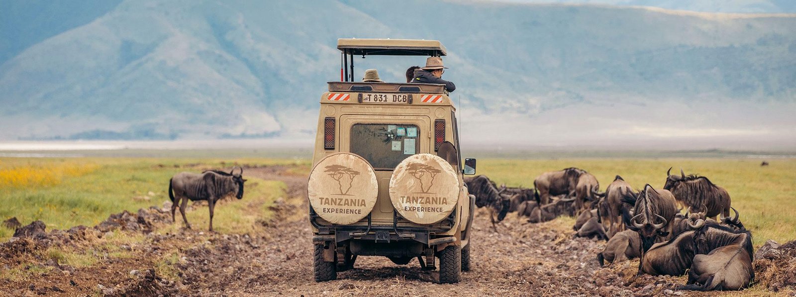 Luxury Tanzania Safaris