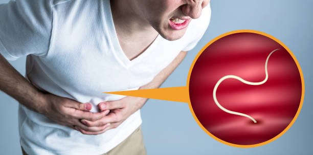 How to Identify and Treat Intestinal Worms