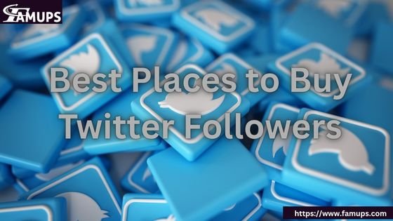 Best Places to Buy Twitter Followers