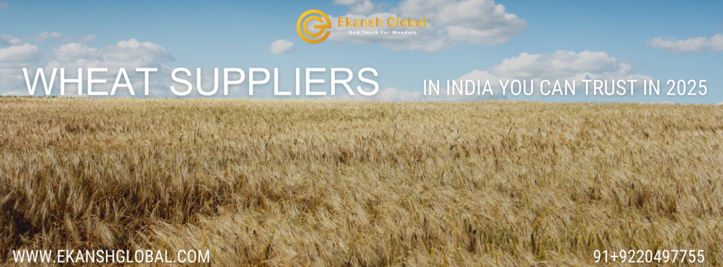 Wheat Wholesalers in India
