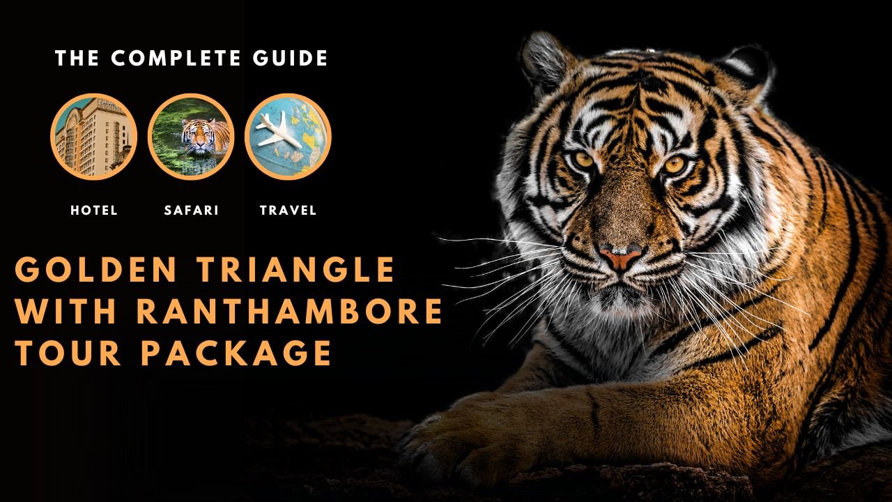 Ranthambore Tour: Wildlife, History, and Forest Trails