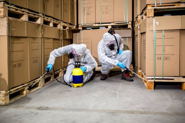 pest control services