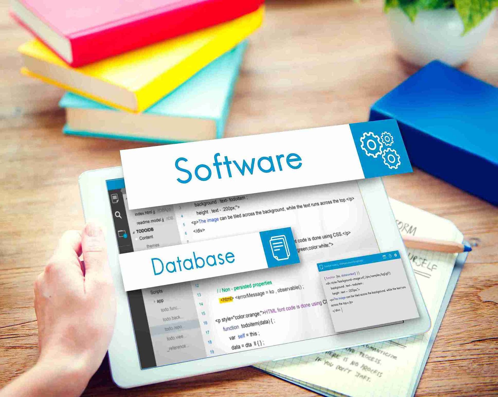 Software Development