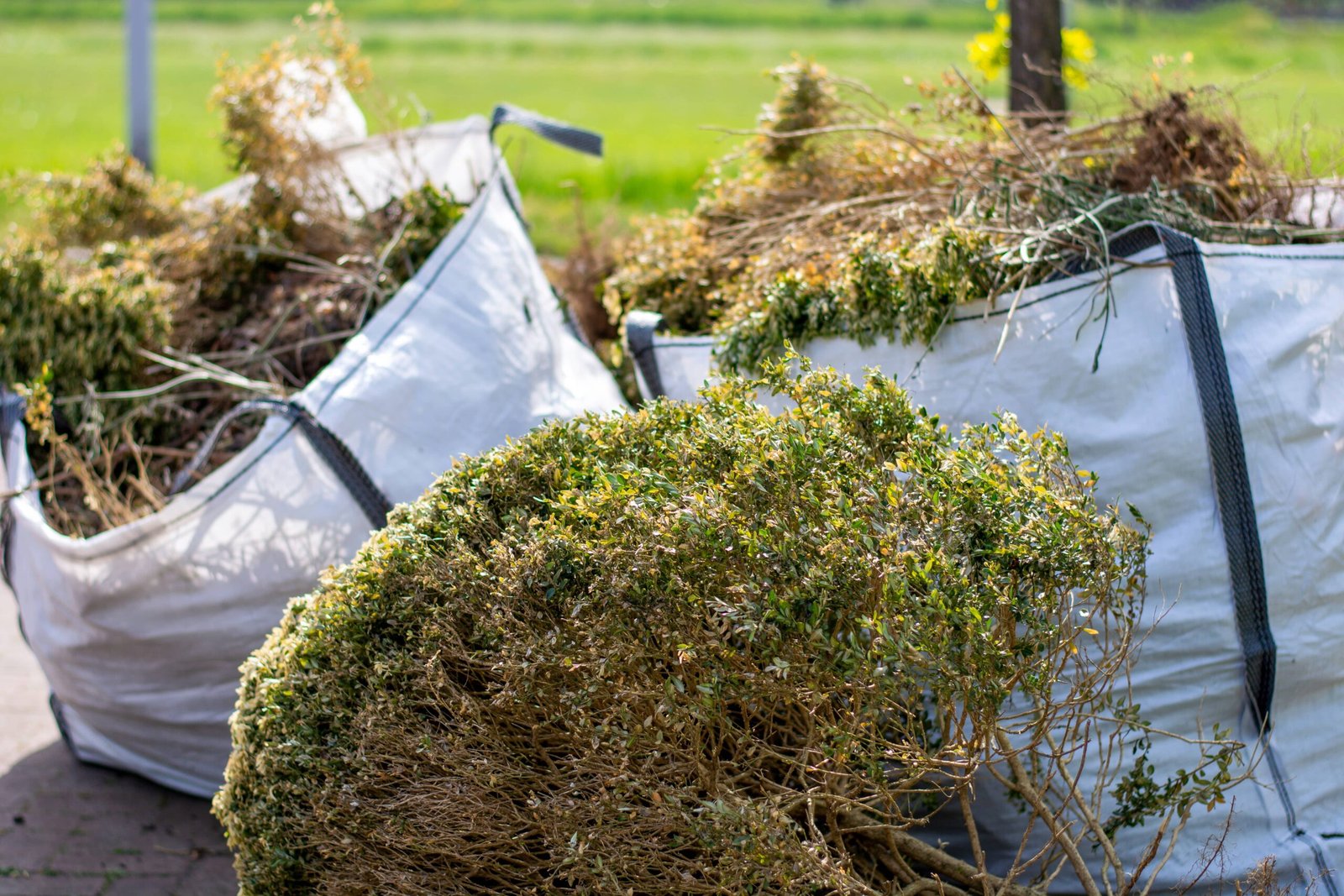 House Clearance Bournemouth