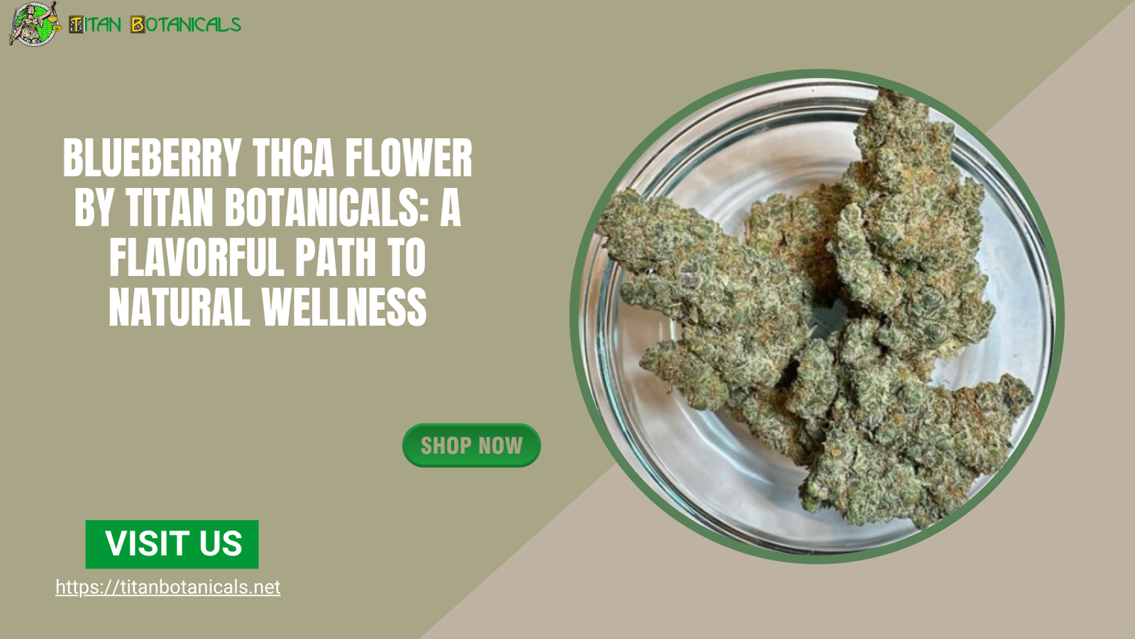 Blueberry THCA Flower