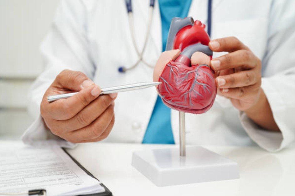 Cardiologist