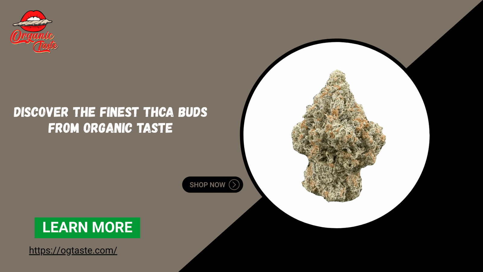 THCA Buds