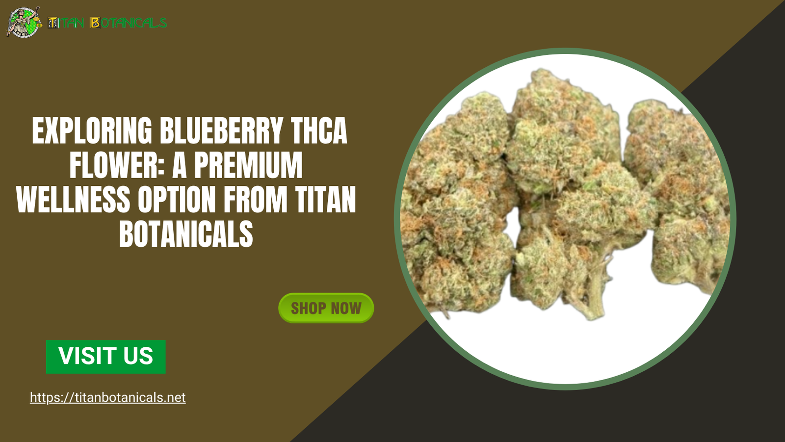 Blueberry THCA flower