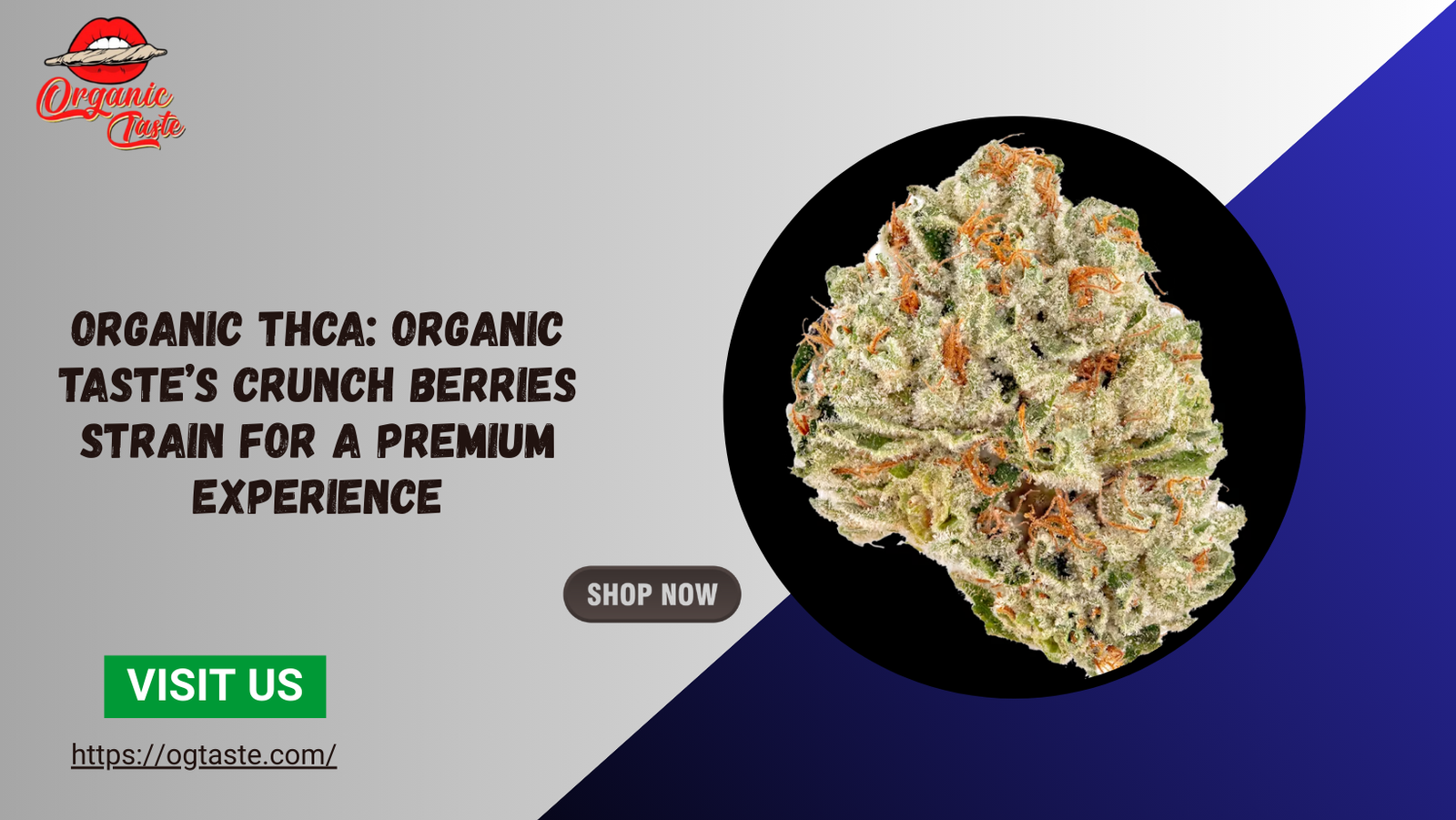 Organic THCA