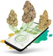 Weed delivery in Waterloo