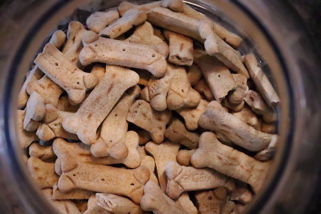 dog food for sale