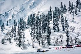 Best Ladakh Tour Packages for Every Traveller in 2025