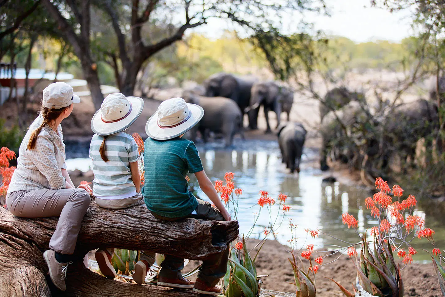 Tanzania Luxury Safaris