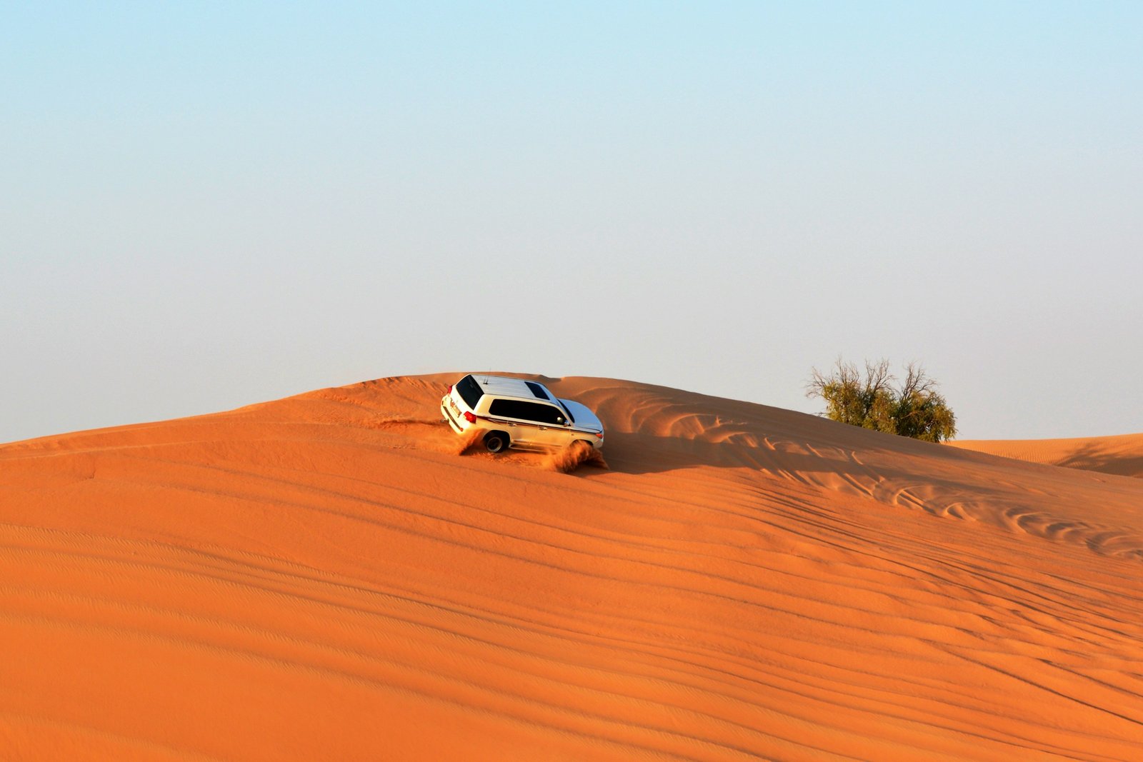 top 5 desert safari tours in Dubai