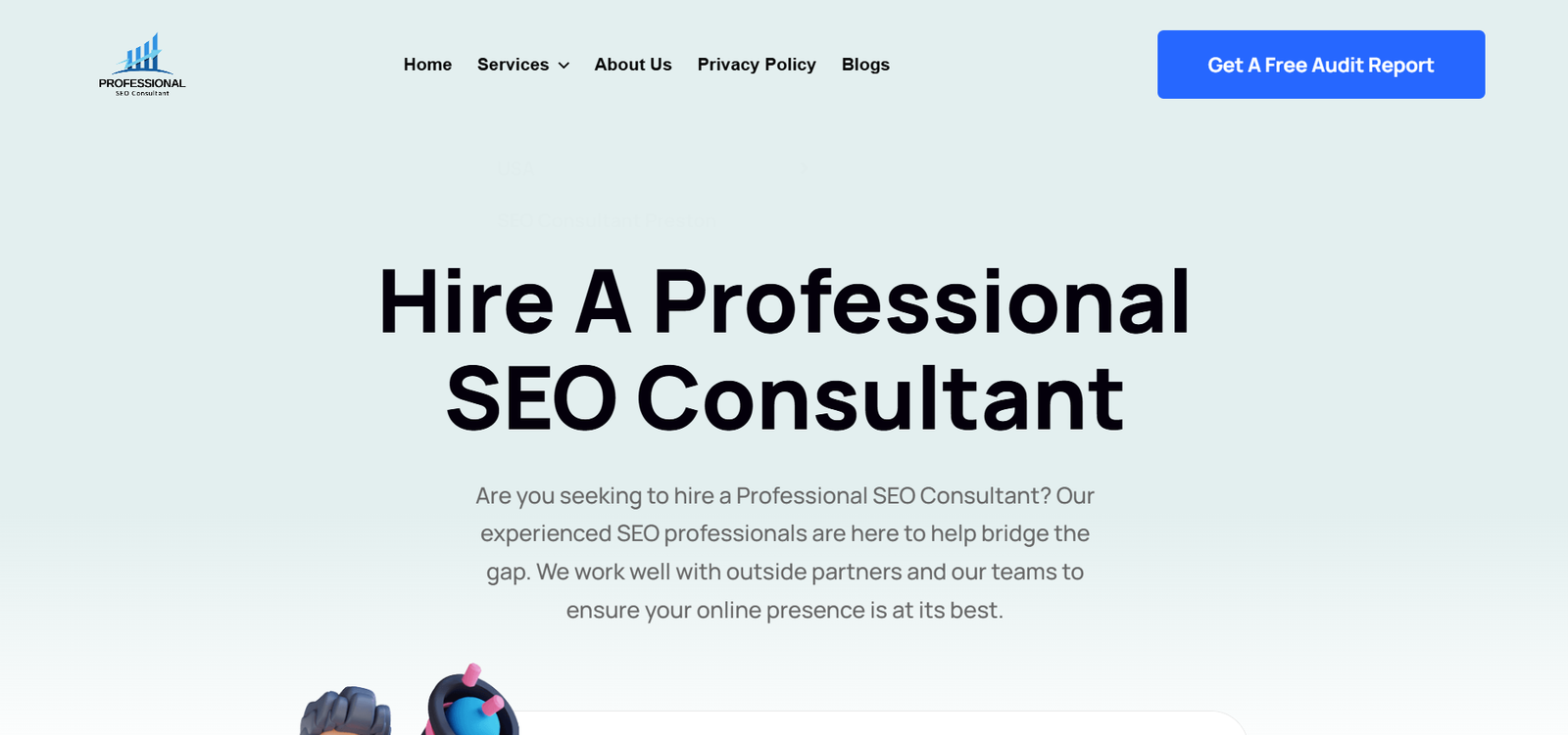 professional-seo