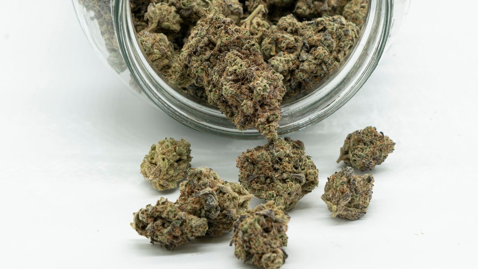 Cheap Bulk Weed