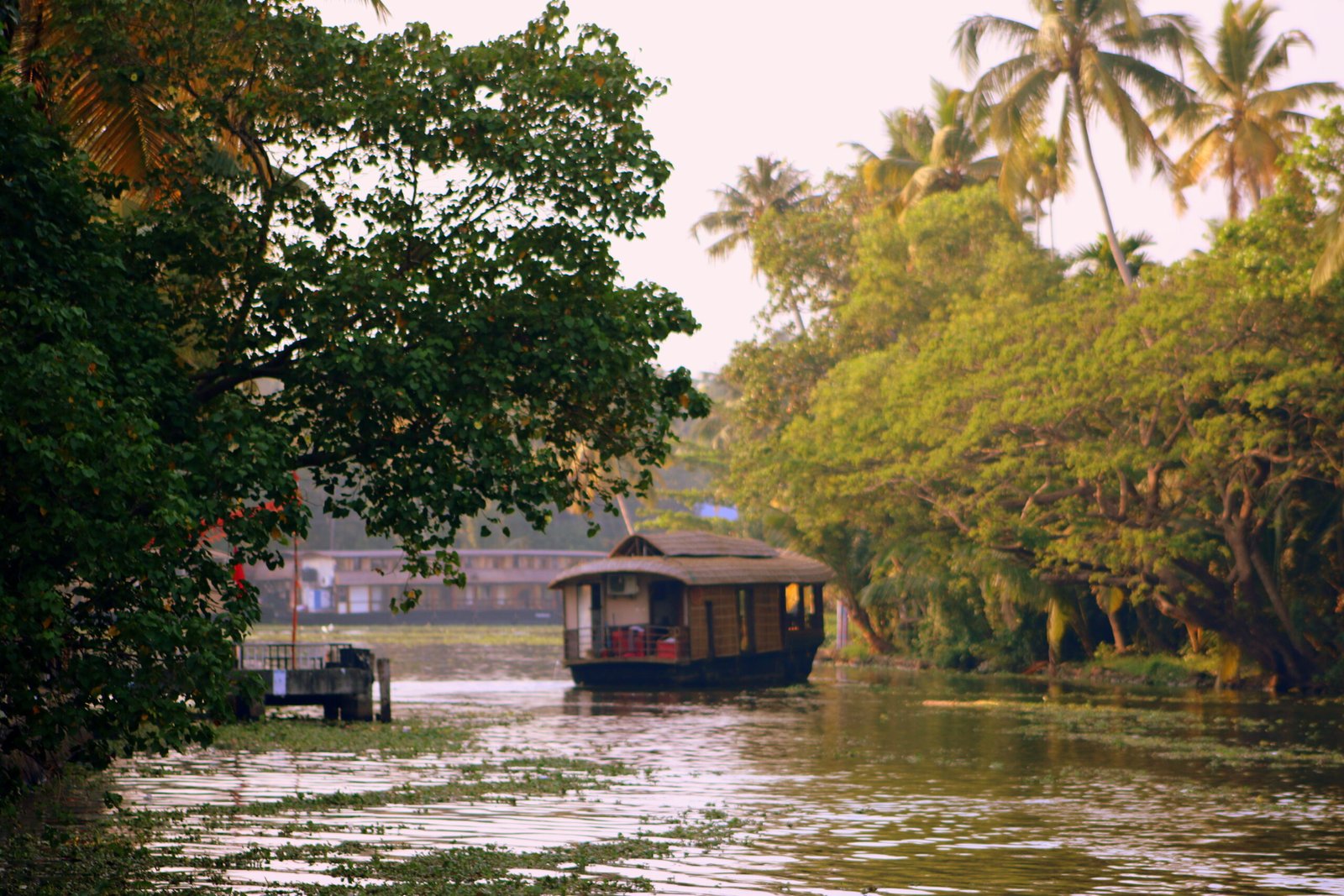 7 days kerala private tours