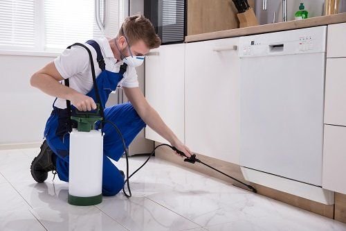 Pest Control Perth Requirements