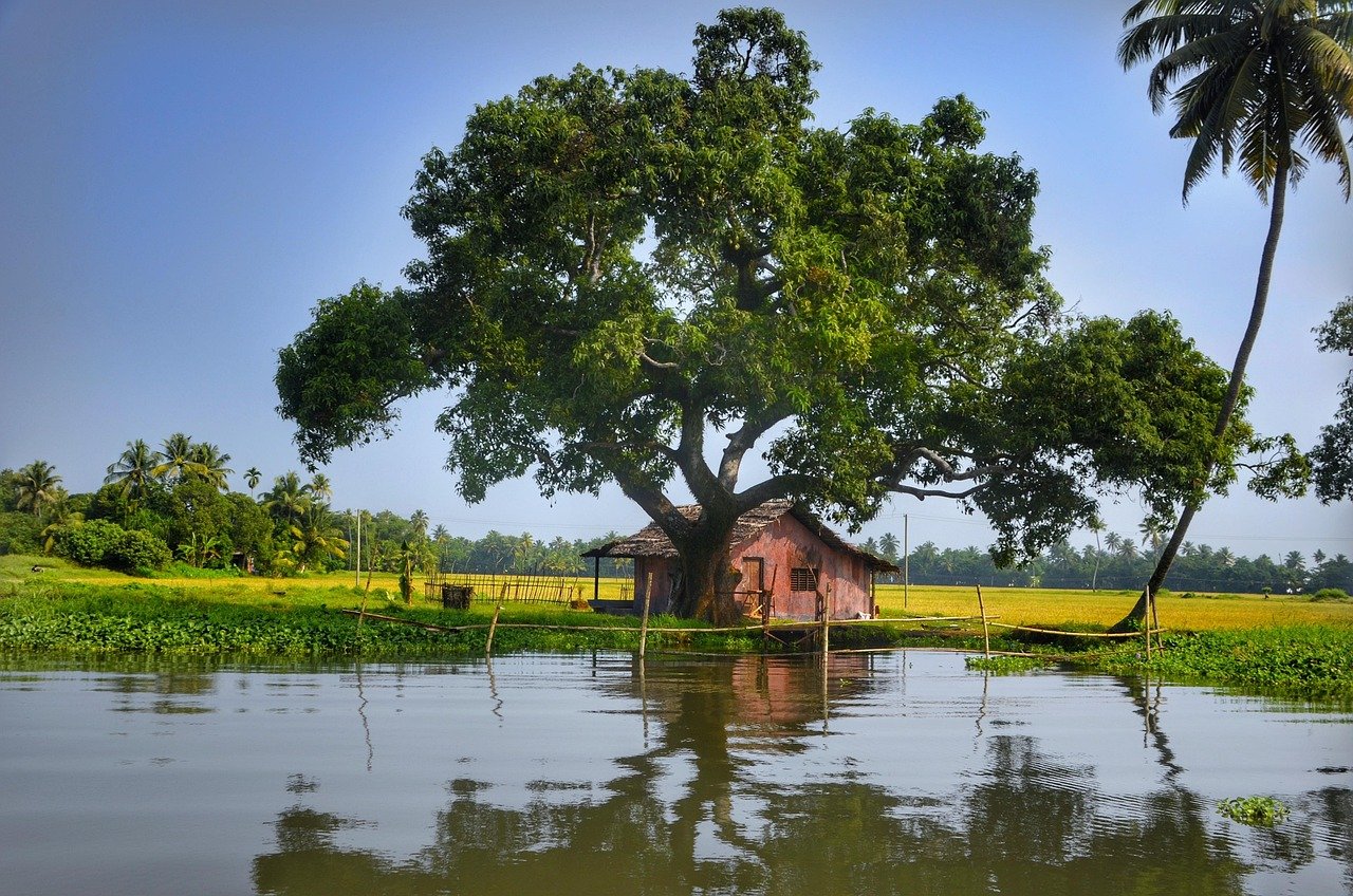 7 days kerala tours from cochin