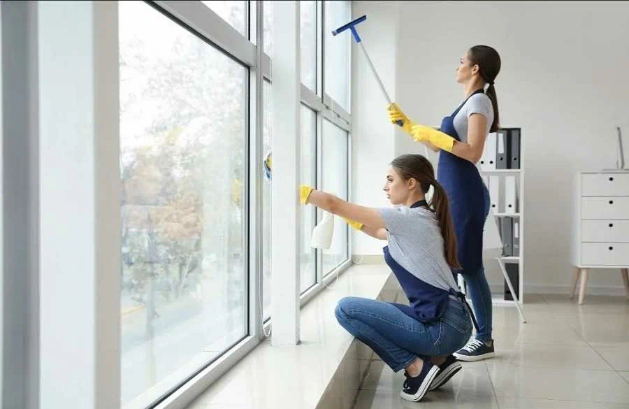 Windows Cleaned
