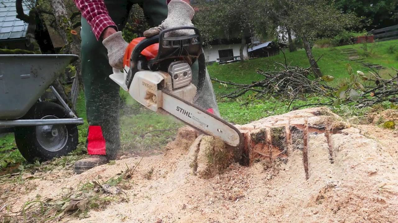 Stump Grinder