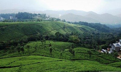 7 Days Yoga and Ayurveda Tour in Kerala