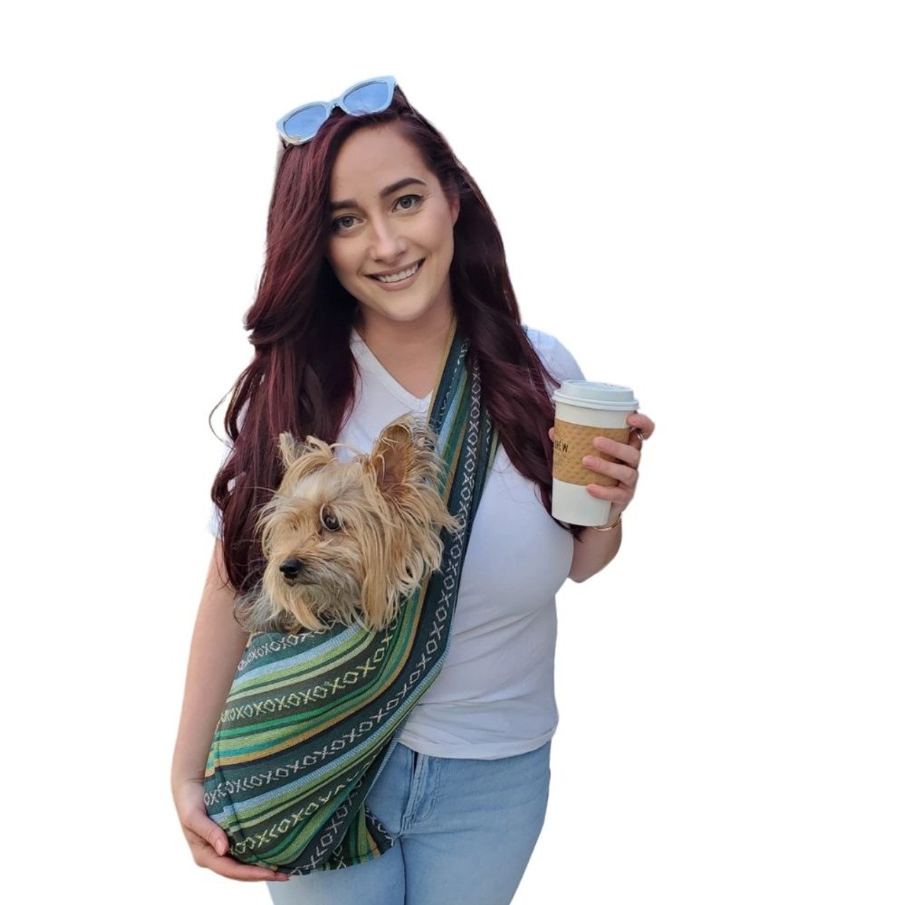 Dog Purses Career