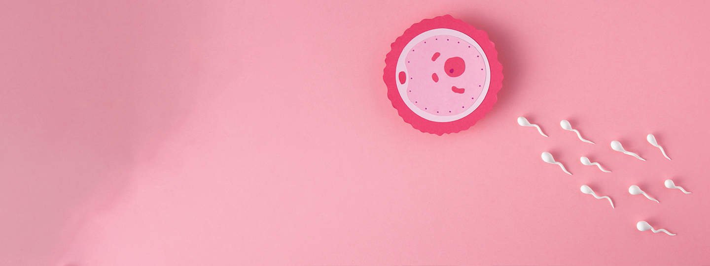 IVF Doctor in Pune