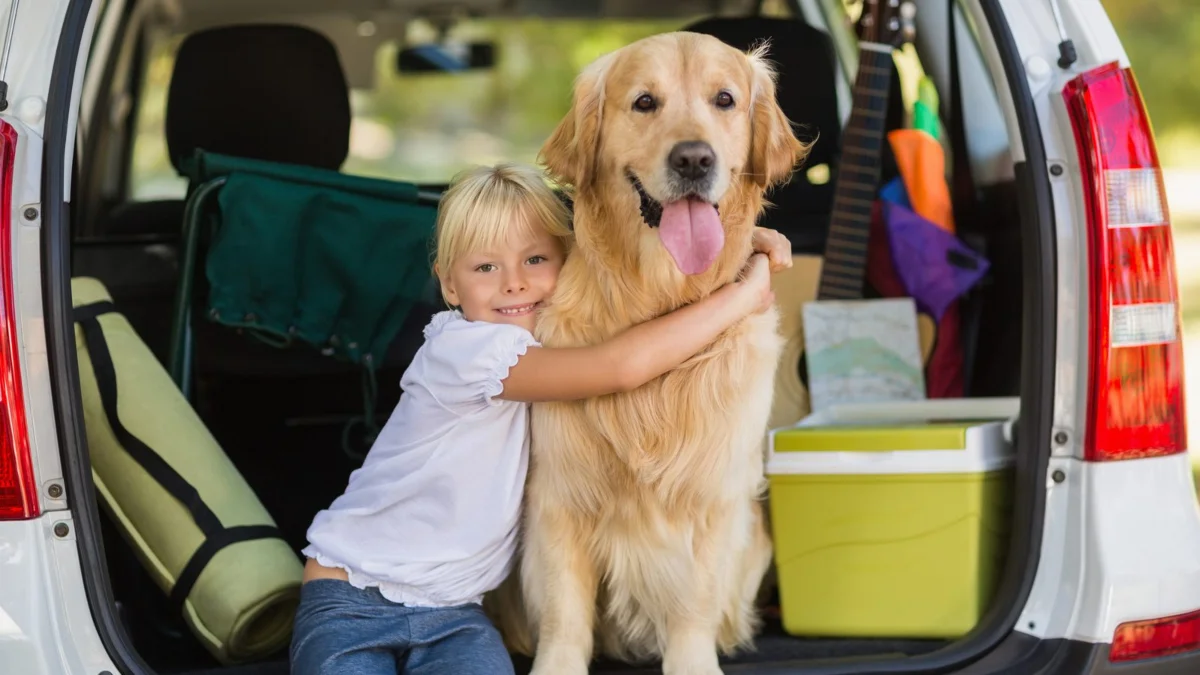 Pet-Taxi-UK-to-France