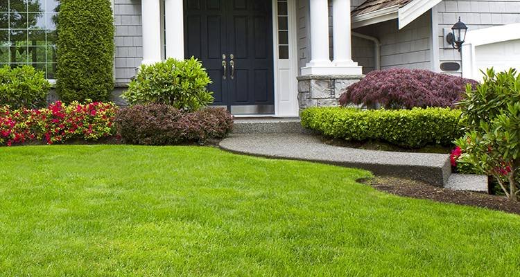 routine landscaping