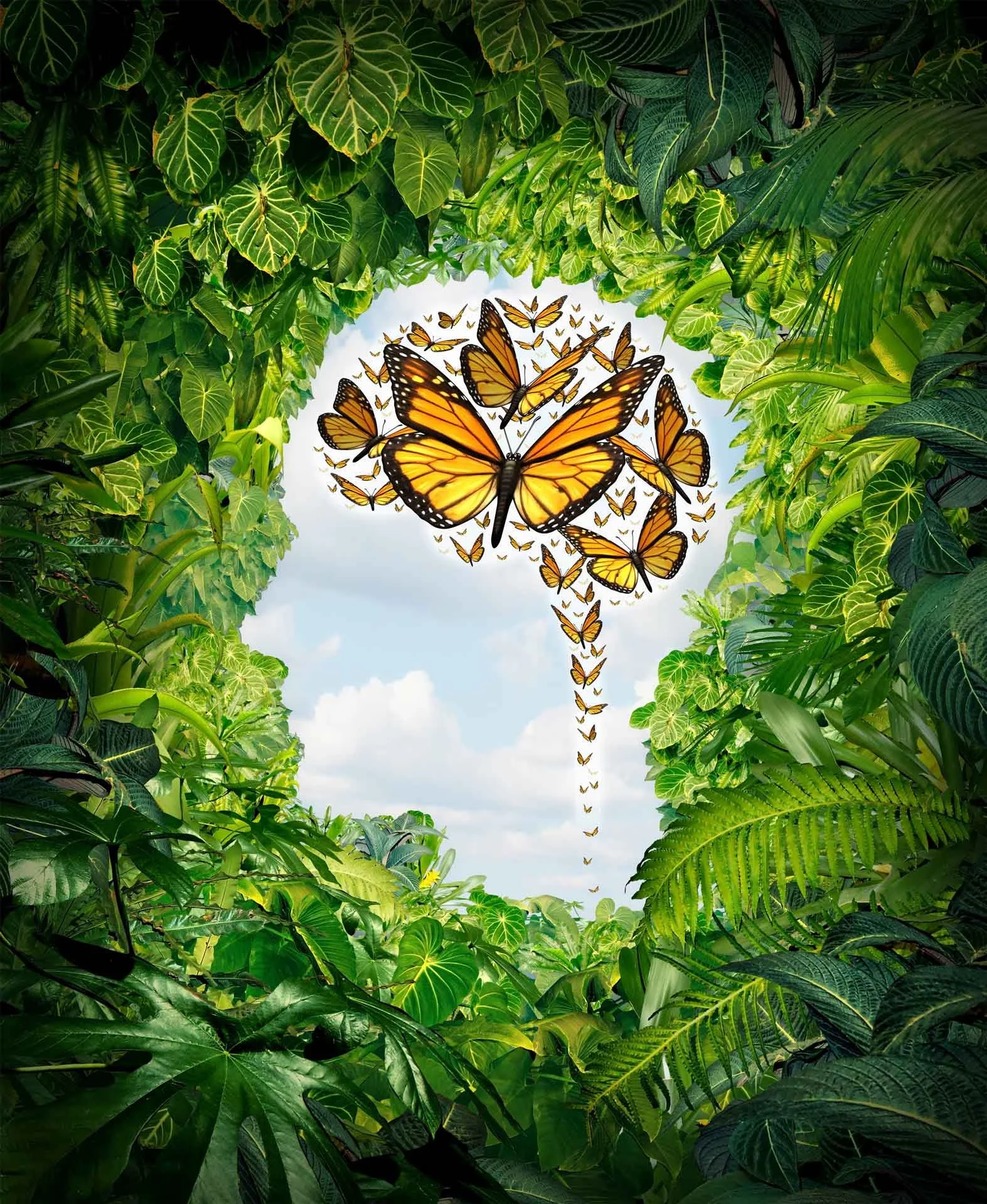 nature messengers