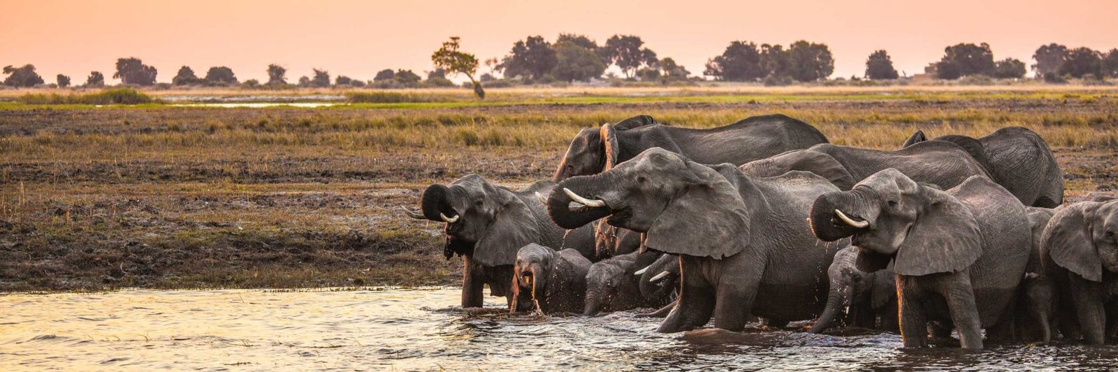 Zimbabwe Safaris