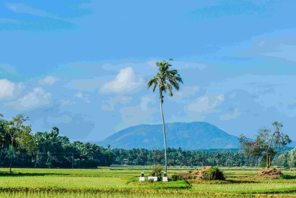 kerala tour packages
